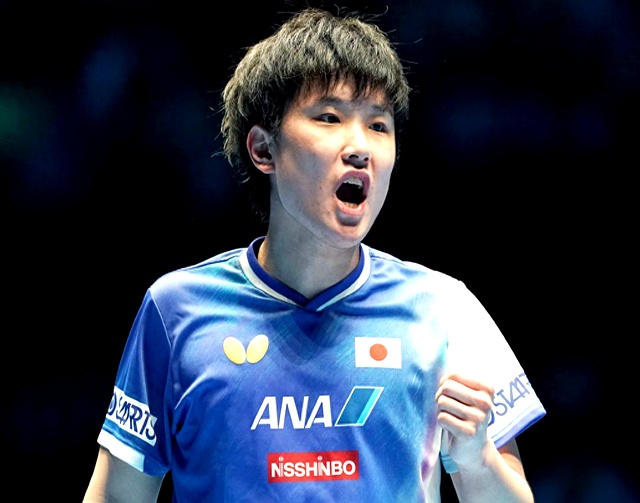 中国队逆转瑞典队,张本智和状态火热的简单介绍 中国队逆转瑞典队,张本智和状态火热的简单介绍