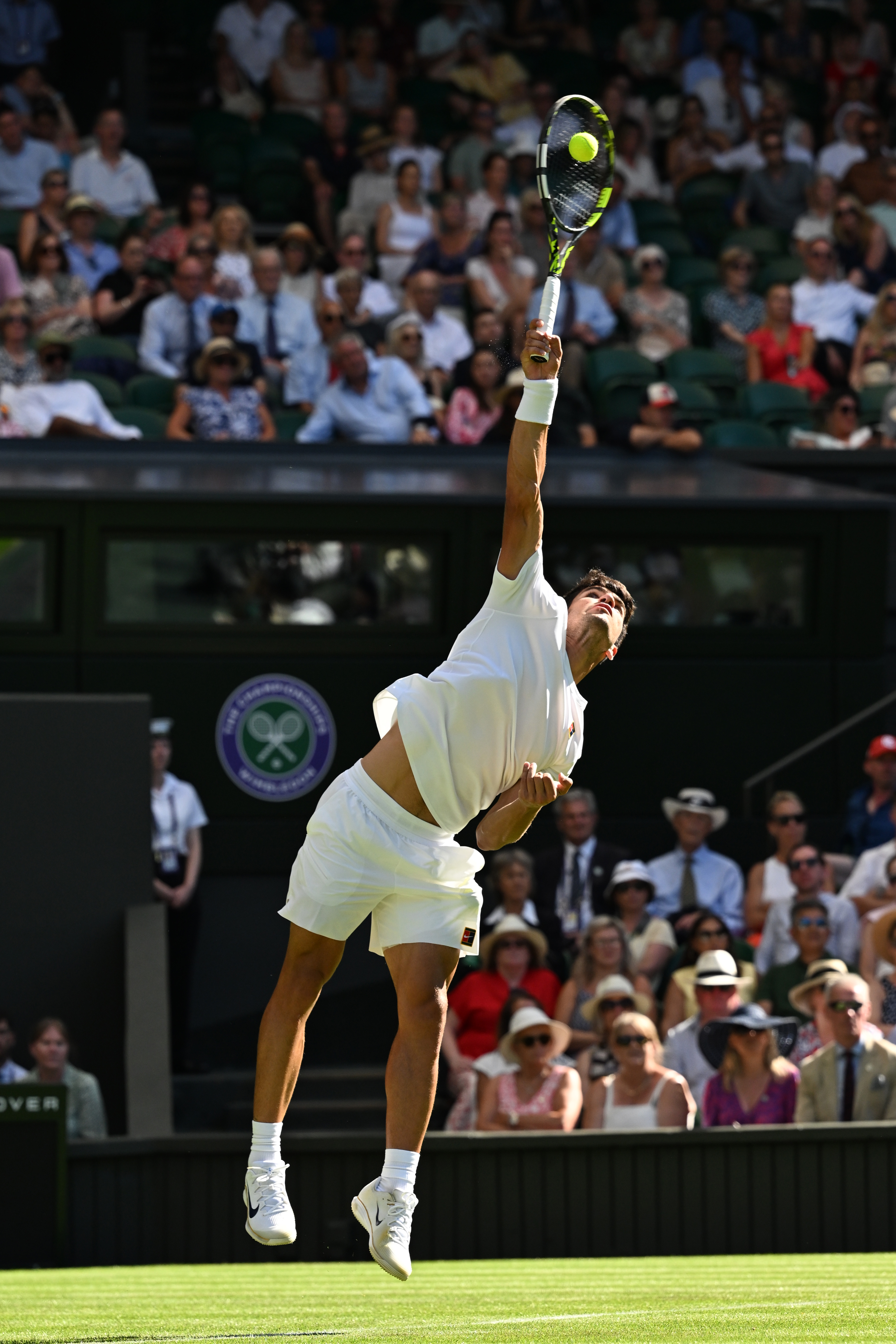 温网险胜戴维斯杯，阿尔卡拉斯惊艳四座的简单介绍