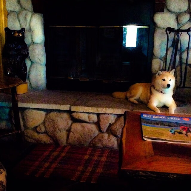 开云sport-跨界主宰，从深圳决胜到贝恩接管，竞技体育的终极共性