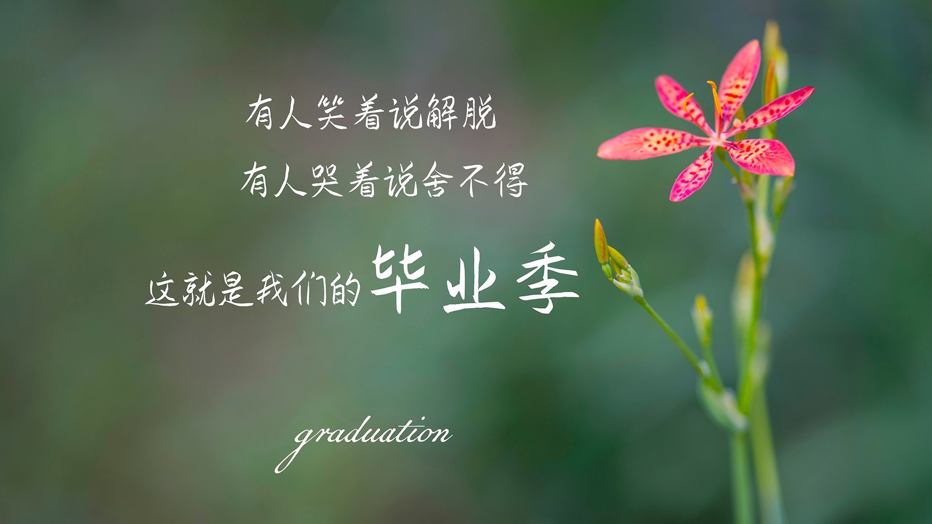 冰与火之歌，哈登带队破冰前行，广厦铁骑冲垮上海滩