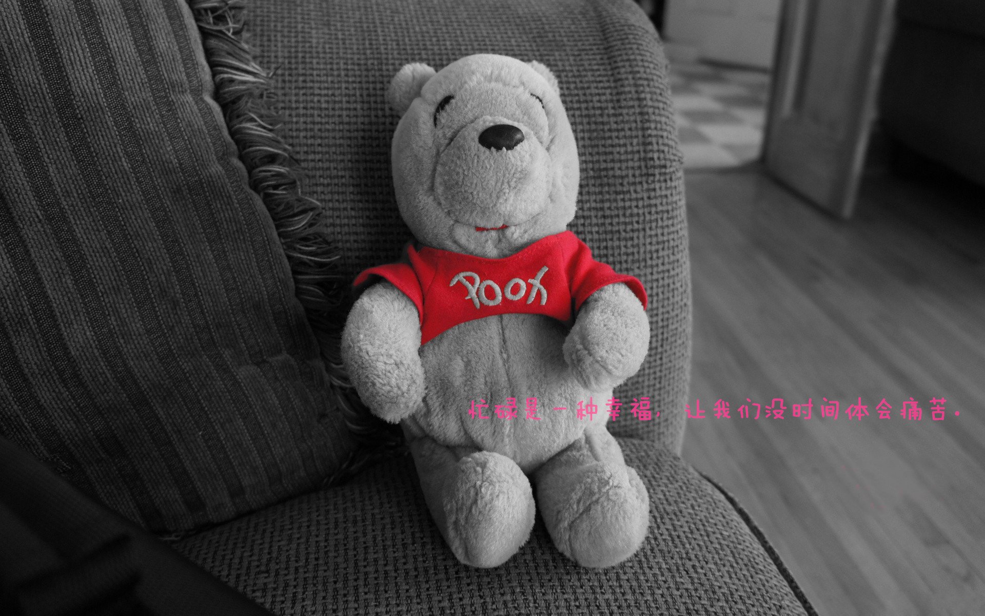 开云体育app-当湖人终结浙江队时，东契奇在观众席把赛后评分拉到满格