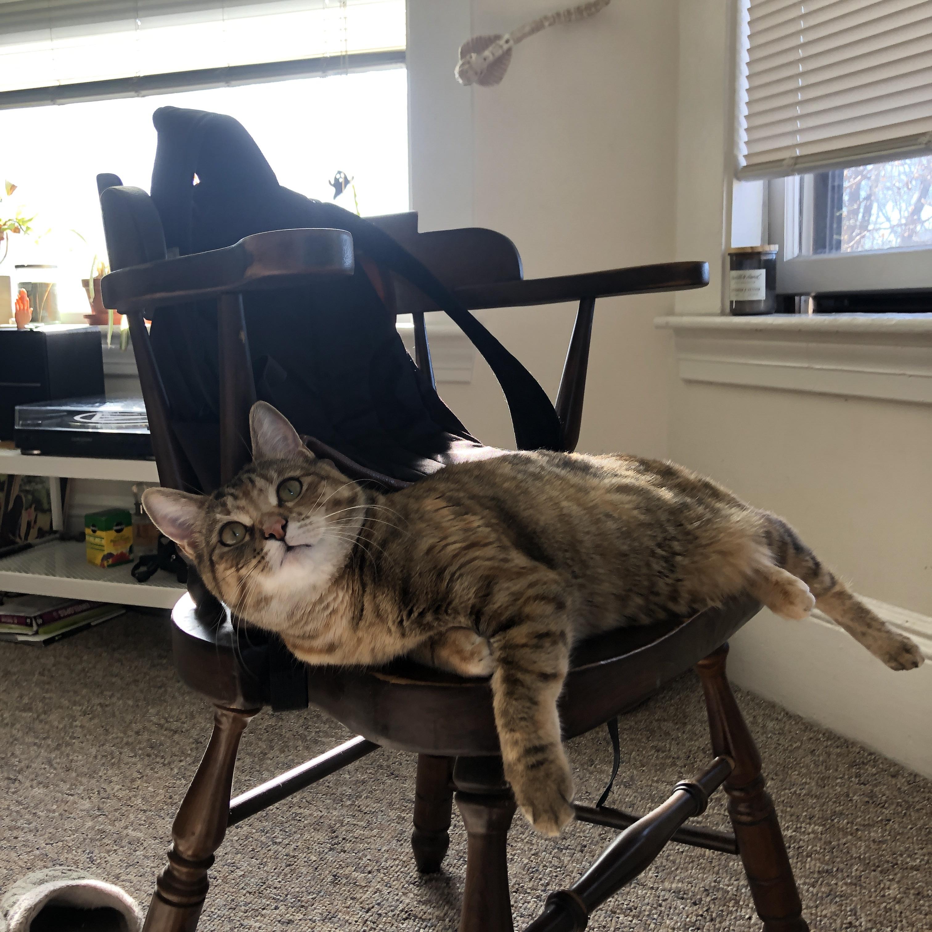 幽灵射手,当马丁内利在德克之战中无处不在