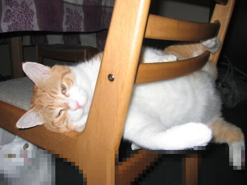 开云体育平台APP-跨洋利刃！利拉德45分神奇撕裂吉林，魔术力克强敌