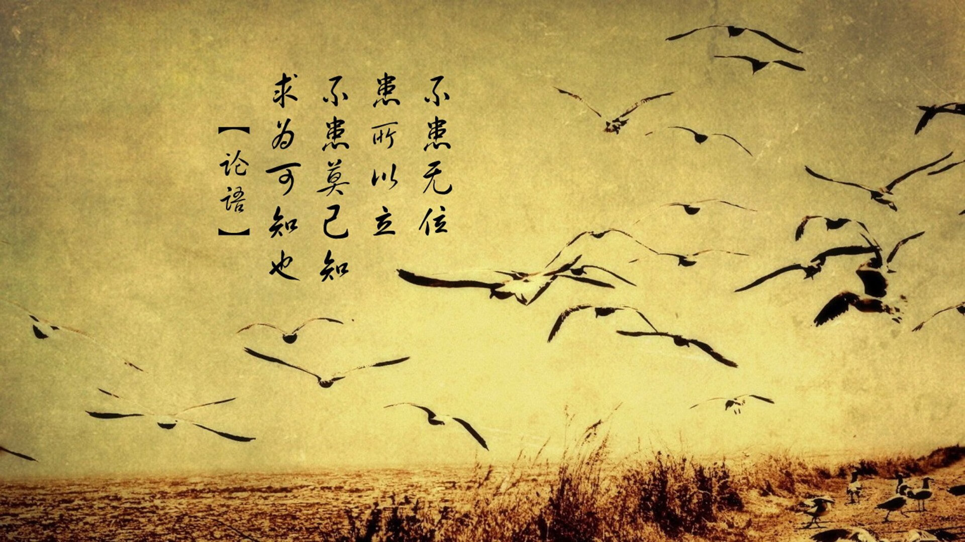 范戴克之盾的裂缝，韩国绝杀瑞士，揭示现代足球的唯一性谎言