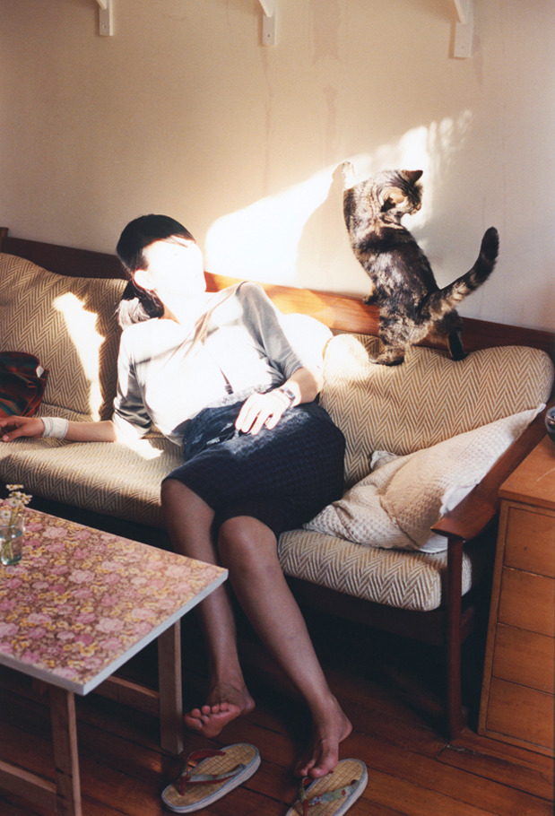 从沼泽到王座，当鹈鹕的进化链碾压篮网的华丽公式