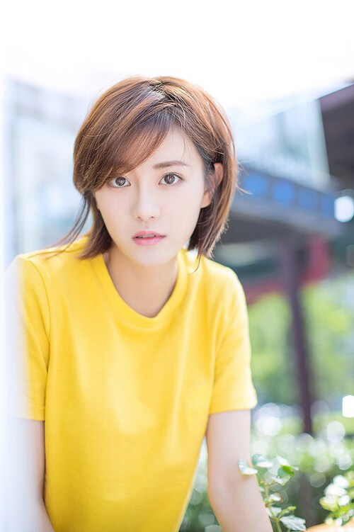 新大陆征服者，罗德里戈的爆发布局与秘鲁的印加防线如何锁死荷兰舰队