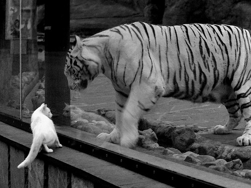 开云体育入口-尼克斯铁壁封锁独行侠,詹姆斯关键时刻主宰赛场