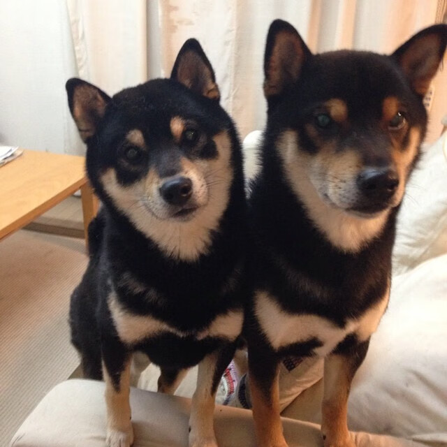 阿坎吉爆点式破局,马赛20分钟闪击摧毁皇家社会精密齿轮