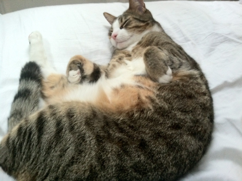 场域重叠，规则裂变，当广厦主场压境，杜兰特数据风暴撕裂空间