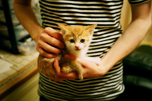 数据视野下的篮球破圈，恩比德、湖人战术与北京队的节奏密码