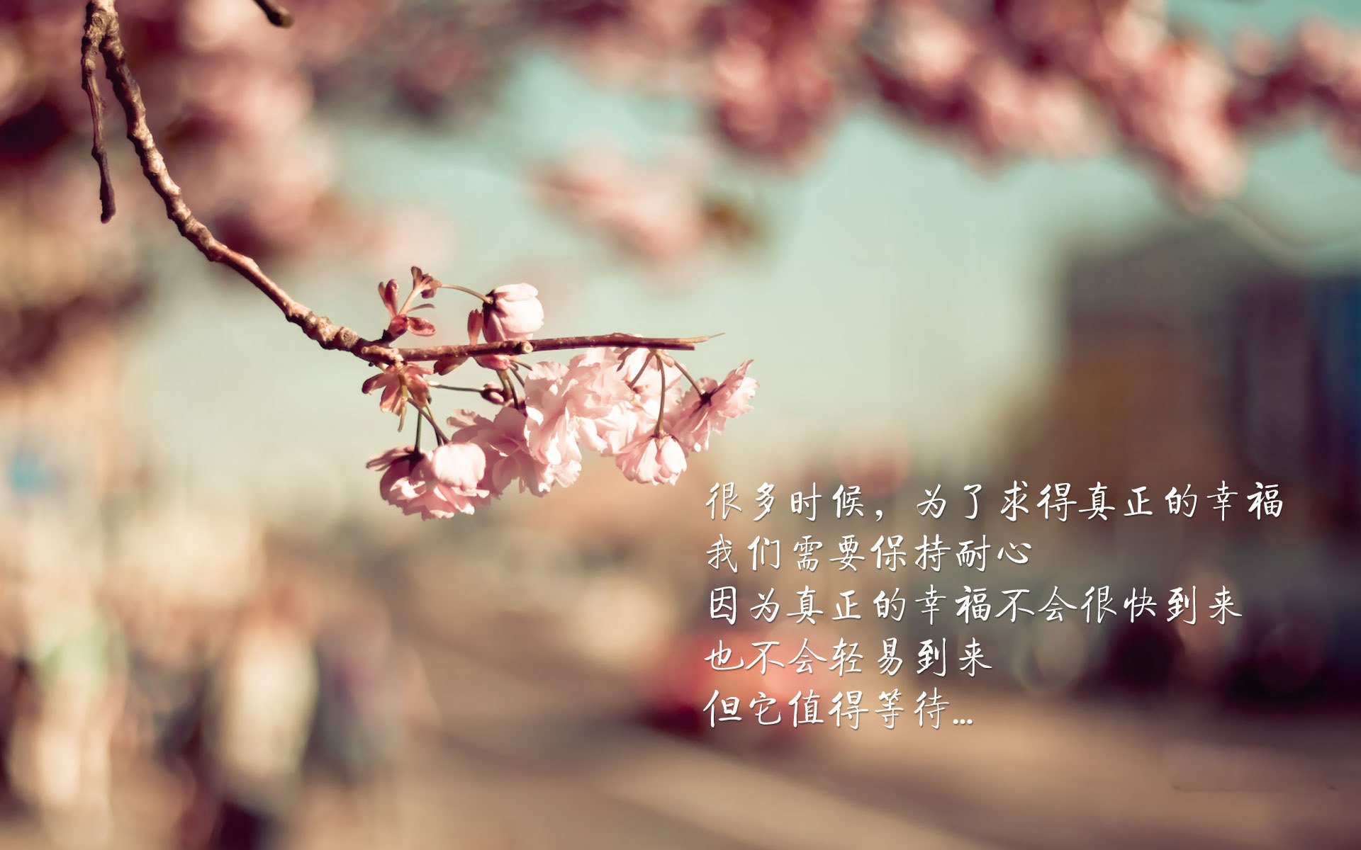 开云下载-沙漠之鹰翱翔世界杯，阿联酋防守反击绝杀日本，哈兰德一球定乾坤