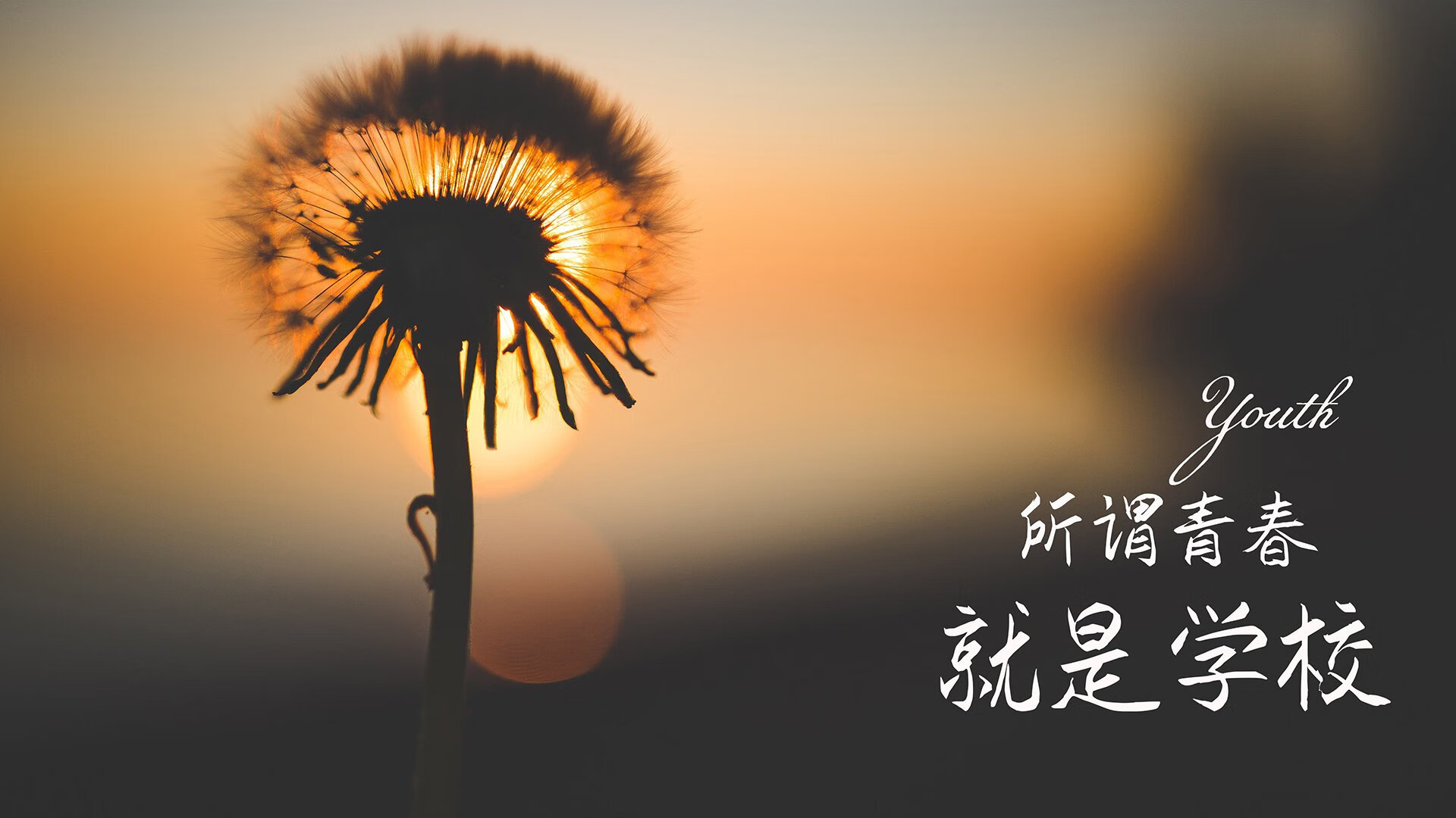 这是一篇基于您提供的关键词（2026世界杯A组关键战，智利击败澳大利亚，范戴克带队取胜）创作的虚构体育评论文章。由于2026世界杯尚未发生，文中赛果、球员表现及背景均为合理推演